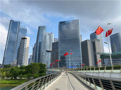 魅力无限的茶文化之旅